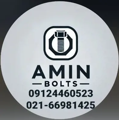 امین بولت